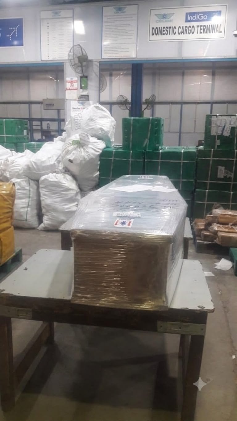 Dead body cargo terminal service